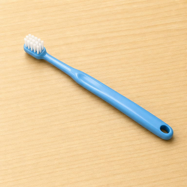 歯ブラシは、歯をみがく道具です。
先に、やわらかい毛がついています。
この毛で、歯をやさしくこすります。