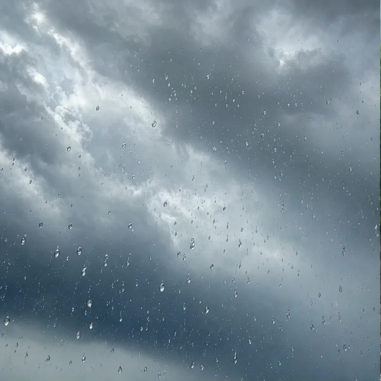 雨